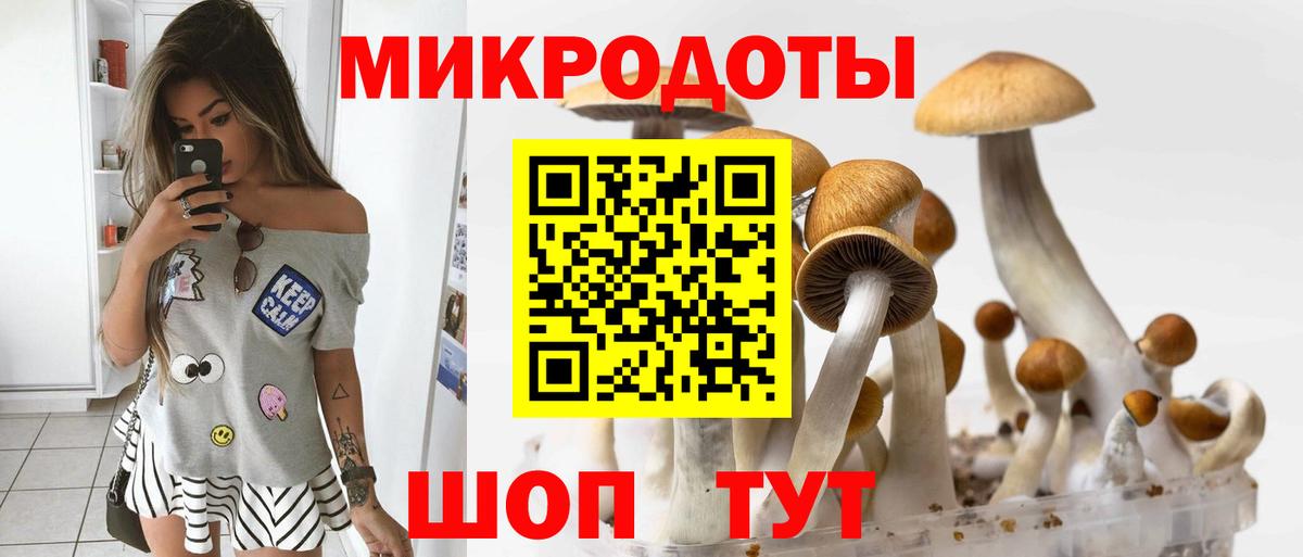Псилоцибиновые грибы Psilocybe  магазин  наркотиков  Кимры  Вход с VPN 